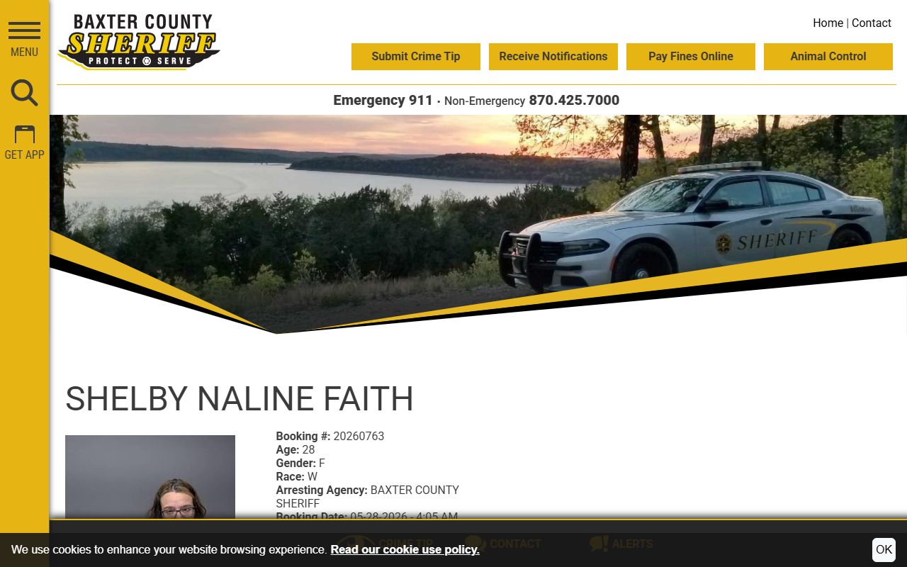 Baxter County inmate records sample profile with mugshot bond charge and VINE link